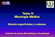 Tema IV Micología Médica - sld.cu · Objetivos • Malassezia, Dermatofitos, Candida –Señalar las enfermedades que producen. –Describir las características generales. –Analizar