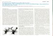 Startseite | ifishman.de · 2017. 7. 18. · und besiedeln den Teich neu. 2.3 Produktionsmethoden Der oben dargestellte Lebenszyklus der Krebse ermöglicht eine Produktionsme- thode