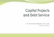 6 Capital Projects and Debt Services - Departamento de … · 2018. 4. 11. · 3.2 Sources of Resources for Debt Service Fund Debt service funds may receive their resources from several