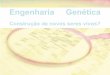 Engenharia Genética - the-documents.com · Os procariontes são muito utilizados em Engenharia Genética porque: Este problema pode ser ultrapassado pela obtenção e transferência