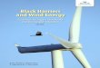 Black Harriers and Wind Energy - BirdLife South Africa...Botswana (Simmons et al. 2005, Figure 2). The species has the most restricted distribution of any continental harrier, cover-ing