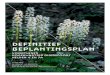definitief beplantingsplan - Wonen in Forza · 2020. 9. 2. · definitief beplantingsplan 22 JUNI 2020 in opdracht van synchroon Martijn Al, ... - hoogte 1 meter (na 10 jaar) 