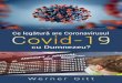 Ce legătură are Coronavirusul Covid-19...plării. Ne înșelăm la fel ca și când cineva ar vrea să justifice din punct de vedere meteorologic absența de trei ani și jumătate
