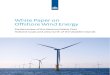 White Paper on Offshore Wind Energy