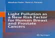 Light Pollution as a New Risk Factor for Human Breast and Prostate