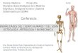 Presentación de PowerPointuvsfajardo.sld.cu/sites/uvsfajardo.sld.cu/files/conferen... · 2021. 6. 9. · Tejido hemopoyético •médula ósea roja Tejido adiposo •médula ósea