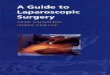 A Guide to Laparoscpic Surgery - A. Najmaldin, P. Guillou (Blackwell, 1998) WW