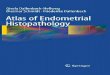 Atlas of Endometrial Histopathology G. Dallenbach-Hellweg, et al., (Springer, 2010) WW