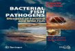 Bacterial Fish Pathogens - Diseases of Farmed and Wild Fish 4th ed - B. Austin, D. Austin (Springer, 2007) WW