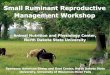 Small Ruminant Reproductive Management Workshop