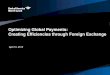 Optimizing Global Payments: Creating Efficiencies through Foreign