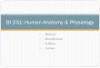 BI 231: Human Anatomy & Physiology