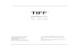 TIFF Revision 6.0 - Adobe