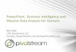 PowerPivot: Business Intelligence and Massive Data Analysis for Humans