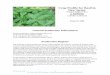 Crop Profile for Basil in New Jersey - National Information System