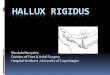 Hallux Rigidus - Velkommen: Dansk Ortop¦disk Selskab