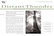 Journal of the Forest Stewards Guild Issue Thirteen/Summer 2002