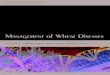 Management of Wheat Diseases