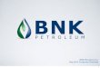 View BNK Jan-2013 presentation - BNK petroleum | Shale Gas