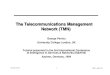The Telecommunications Management Network (TMN)