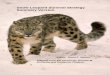 Snow Leopard Survival Strategy Summary Version