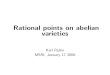 Rational points on abelian varieties