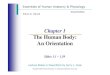 The Human Body: The Human Body: An Orientation
