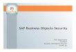 SAP Business Objects Security - BI / DW Insider