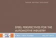 STEEL PERSPECTIVES FOR THE AUTOMOTIVE INDUSTRY
