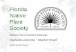 Gaillardia Pulchella -- Blanket Flower - Florida Native Plant Society