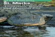 National Wildlife Refuge Amphibian, Reptile and Mammal List