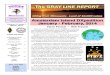 The GRAY LINE REPORTThe GRAY LINE REPORT - TCDXA HOME PAGE