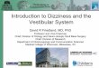 Introduction to Dizziness and the Vestibular System