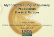 Mycorrhizal Fungi in Nursery Production: Facts & Fiction - ARS : Home