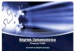 Brightek Optoelectronics Company Profile
