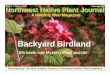 Backyard Birdland