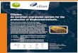 Ciliates: CELL-tainerâ„¢ An excellent expression system for the