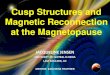 Cusp Structures and Magnetic Reconnection at the Magnetopauselasp.colorado.edu/media/projects/reu/2017/Final... · 2019. 7. 12. · Reconnection at the Magnetopause. Plasma Entry