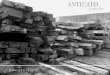 PRESENTACION / INTRODUCTION · 2019. 4. 30. · tipo de maderas de roble: edificaciones de todo tipo donde se haya utilizado madera de roble. Estas edificación pueden ser casas,