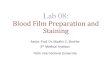 Blood Film Preparation and Staining - Lecture Notes · 2021. 1. 20. · Manual Staining Method Leishman's and Write Method: 1. Place dried film on the staining rack with film facing