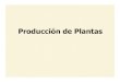 Producción de Plantas · 2014. 11. 20. · veredas, ramblas, parques, canchas de golf, bosques periurbanos. Curso de Silvicultura Producción de Plantas. Calidad de la planta producida