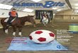 THE VOICE OF EQUINE ALBERTA MEMBER MAGAZINE Bits... · Didsbury Horse Show celebrates its 50th anniversary and much more! THE VOICE OF EQUINE ALBERTA MEMBER MAGAZINE S P R I N G 20