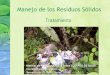 Manejo de los Residuos Solidos - Universidad Icesi · 2017. 12. 12. · Manejo de los Residuos Sólidos Tratamiento. Tratamiento de residuos, energía y gases de efecto invernadero