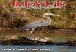 Guatemala’s English-language Magazine - Revue Magazine – … · 2021. 5. 1. · CAFé COnDESA farm-to-table since 1993 CAFETEnAnGO RESTAuRAnT surrounded by gardens and volcano