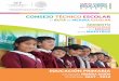 CONSEJO TÉCNICO ESCOLAR · 2017. 9. 15. · de los ajustes a la planeación de su Ruta de Mejora Escolar. Materiales Planeación de la Ruta de Mejora Escolar elaborada en la Fase