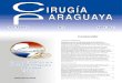 Contenido · 2021. 5. 4. · ISSN 2070-8785 Órgano Científico de la Sociedad Paraguaya de Cirugía (SOPACI) Vol. XXXXV N°1 Abril 2021 Contenido ARTÍCULOS ORIGINALES Complicaciones