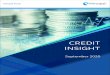 20200902002 - Credit Insight - Brochure - September · 2020. 9. 3. · Board approved Internal Credit Risk Assessment Policy Highlights of the Credit ... • Limit monitoring/ compliance