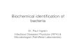 Biochemical identifcation of bacteria - KSU..." Bacteria that ferment glucose: E.coli Klebsiella Nitrate" Detects nitrate reductase enzyme which converts nitrate to nitrite." Nitrite