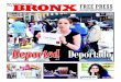 Deported Deportado - The Bronx Free Press · 2017. 6. 28. · El Periódico Bilingüe de la Comunidad Celebration p3 Music p5 Health p12 Photo: Luis Puntiel Photo: Gregg McQueen Deported