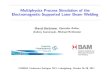 Multiphysics Process Simulation of the Electromagnetic … · 2011. 12. 1. · Multiphysics Process Simulation of the Electromagnetic-Supported Laser Beam Welding Marcel Bachmann,